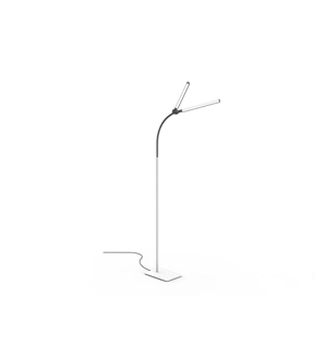 Lighting & Furniture |   Duolamp Pro Floor Lamp Lighting & Furniture Lighting & Furniture